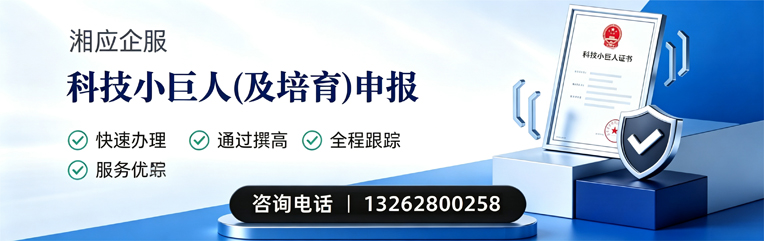 宿迁科技小巨人及培育企业申报服务