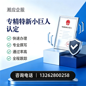 宿迁专精特新小巨人申报服务