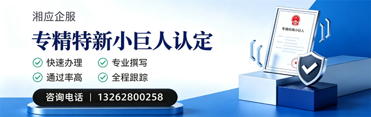 宿迁专精特新小巨人申报服务